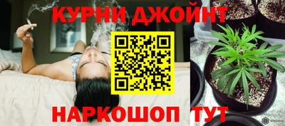сатива Берёзовский