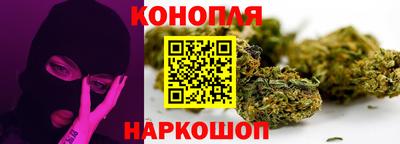 Альфа ПВП Будённовск